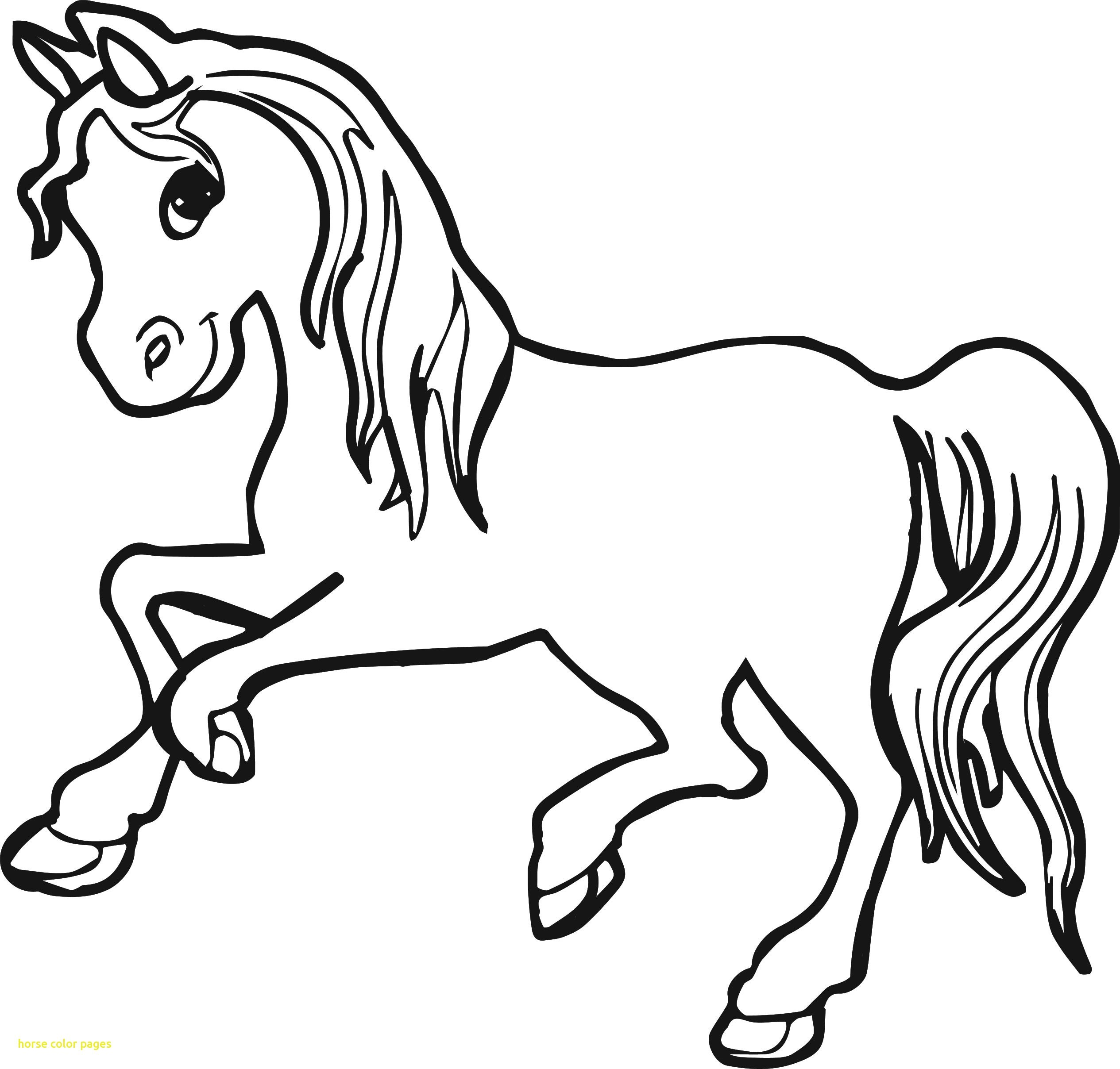 Horse Face Coloring Page Wallpaper