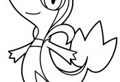 Ivy Pokemon Coloring Pages Ivy Pokemon Coloring Pages