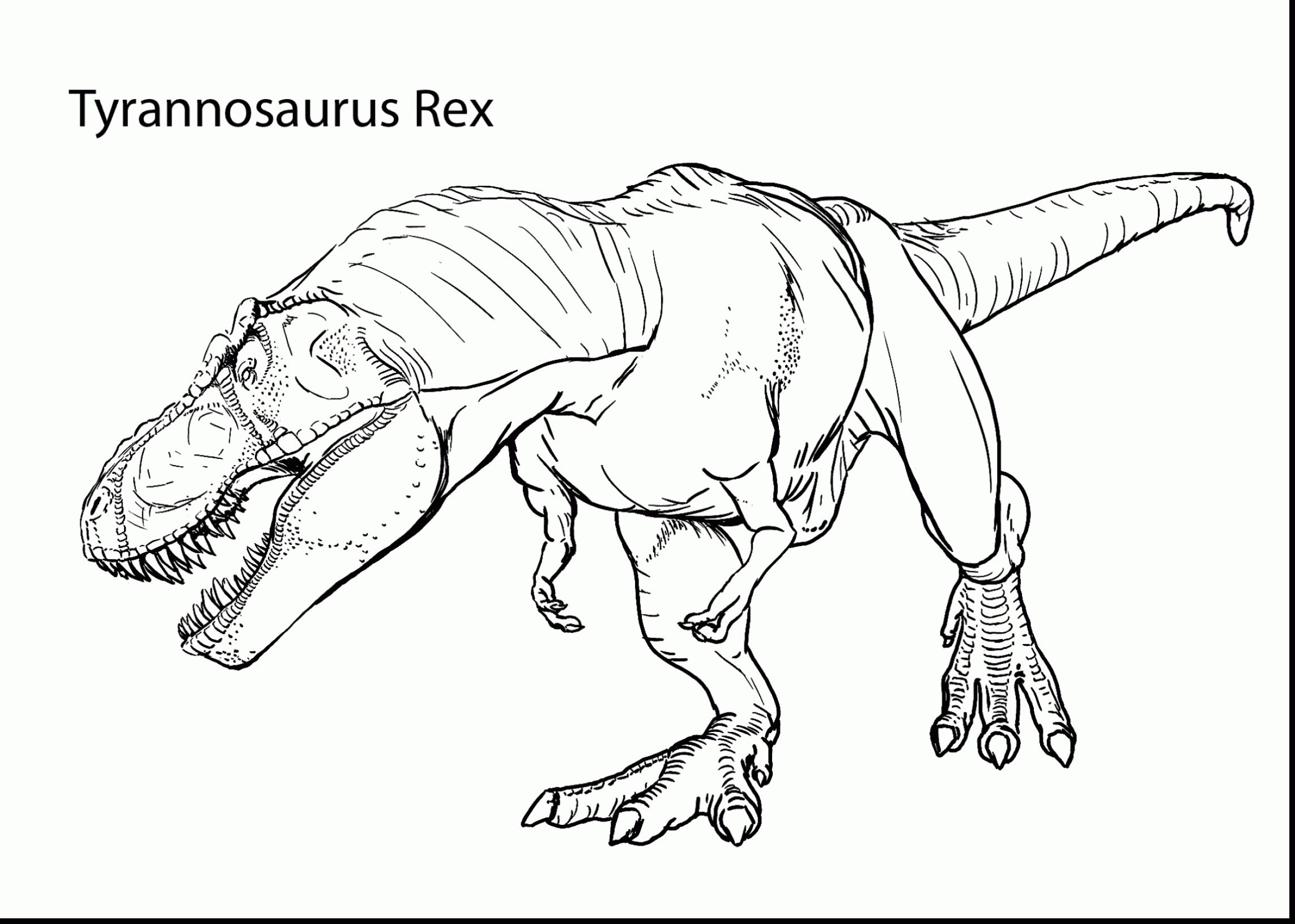 Jurassic Park T Rex Coloring Sheet Wallpaper