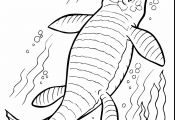 Long Neck Dinosaurs Coloring Page Long Neck Dinosaurs Coloring Page