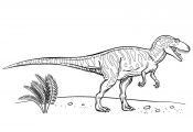 Meat Eating Dinosaurs Coloring Pages Meat Eating Dinosaurs Coloring Pages
