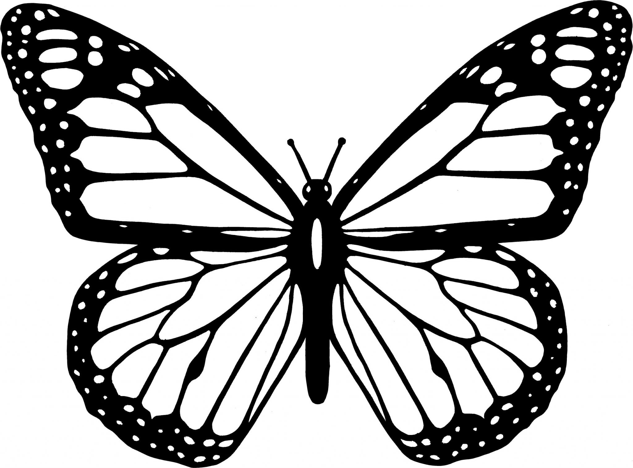 Monarch butterfly Coloring Page | BubaKids.com