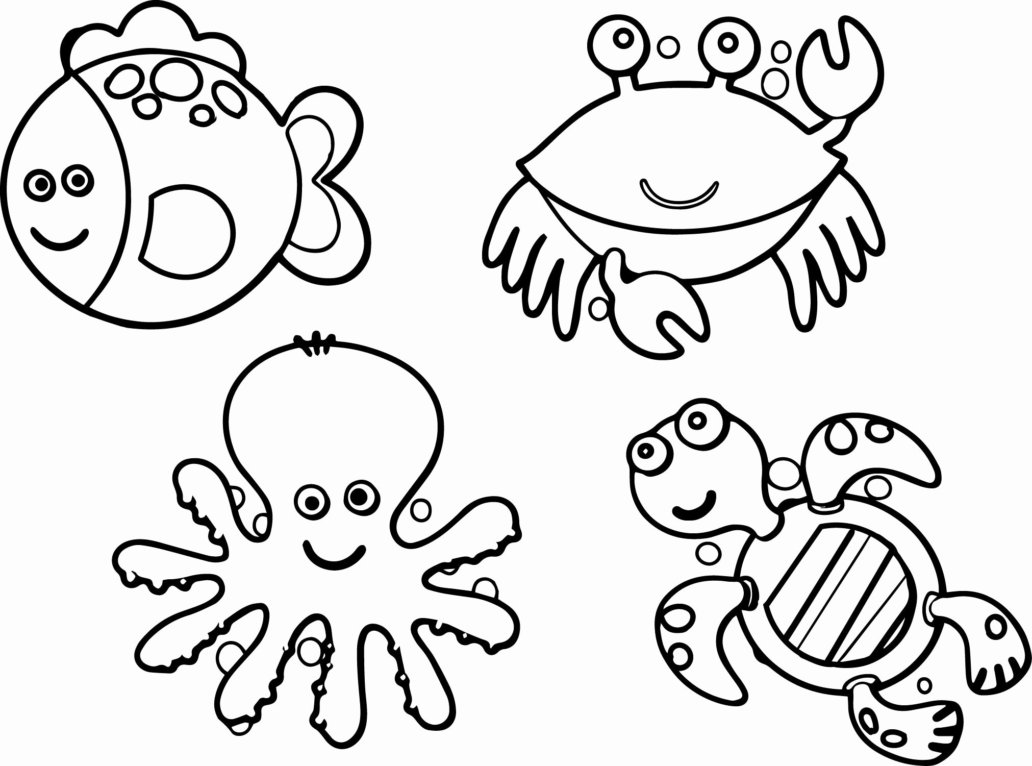 Ocean Animals Coloring Pages Wallpaper