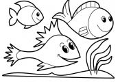 One Fish Two Fish Coloring Pages One Fish Two Fish Coloring Pages