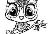 owl coloring pictures to print | Owl, : owl-cartoon-character-coloring-page.jpg
