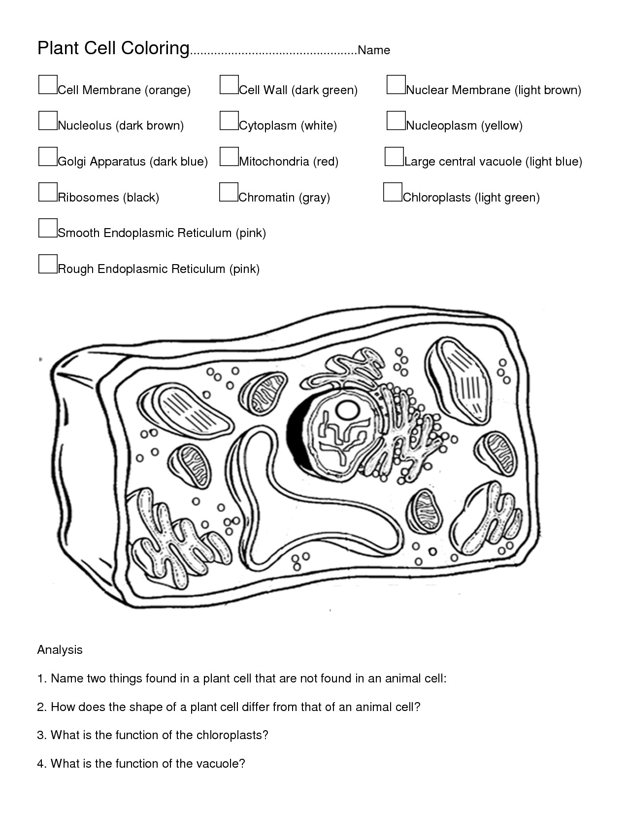 Pictures Of Plant and Animal Cells to Color