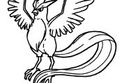 Pokemon Coloring Pages Articuno Pokemon Coloring Pages Articuno