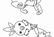Pokemon Coloring Pages Treecko Pokemon Coloring Pages Treecko