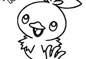 Pokemon torchic Coloring Pages Pokemon torchic Coloring Pages