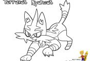 Pokemon torracat Coloring Pages Pokemon torracat Coloring Pages