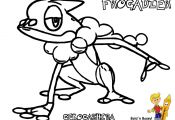 Pokemon X and Y Coloring Pages Frogadier Pokemon X and Y Coloring Pages Frogadier