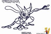 Pokemon X and Y Coloring Pictures Pokemon X and Y Coloring Pictures