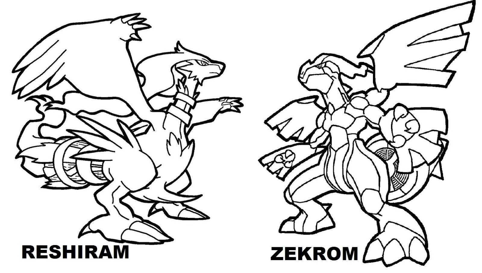 Pokemon Zekrom Coloring Pages Wallpaper