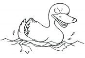 Pond Animals Coloring Pages Pond Animals Coloring Pages