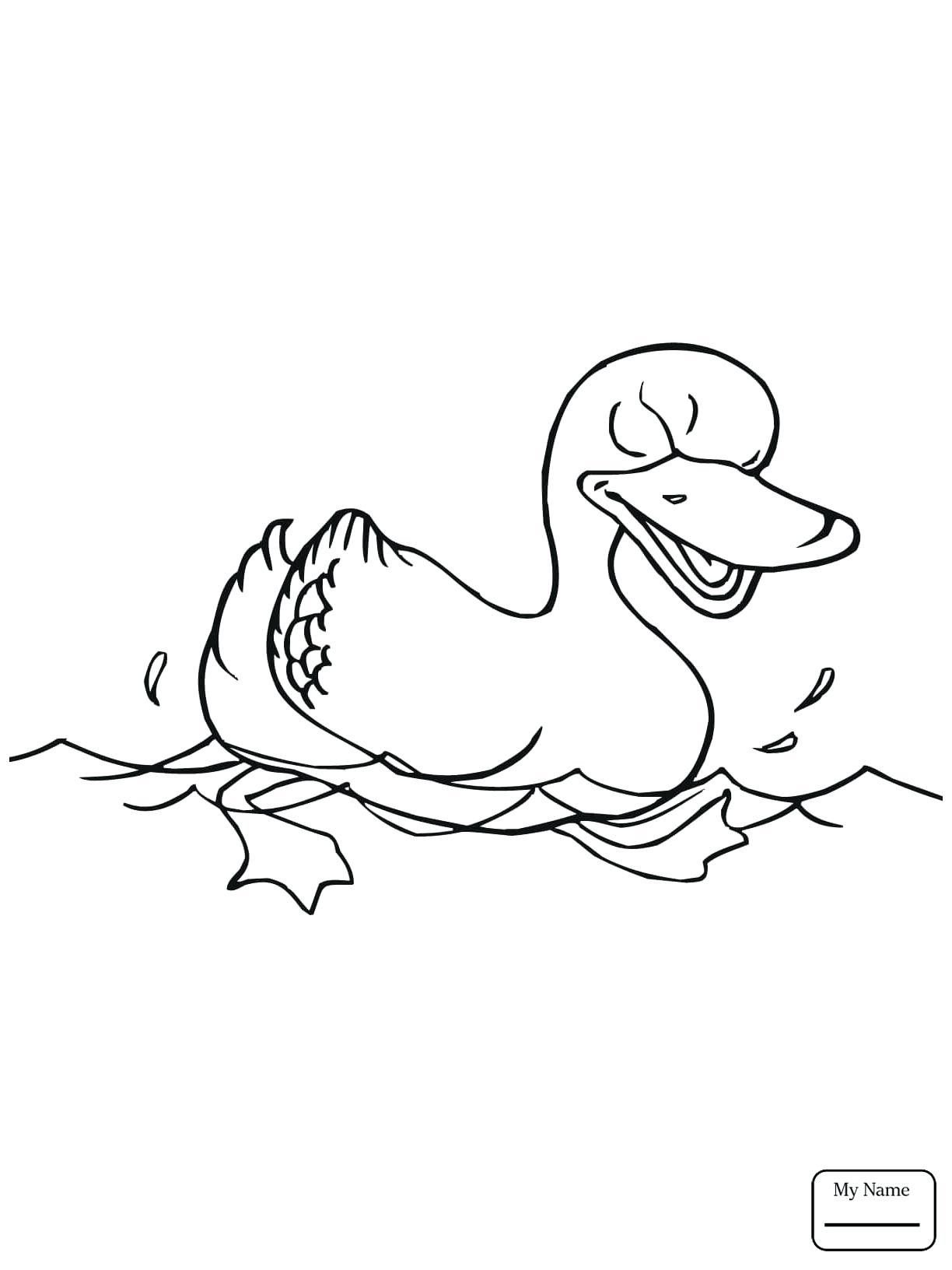 Pond Animals Coloring Pages