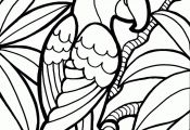 Printable Coloring Pages Of Birds Printable Coloring Pages Of Birds