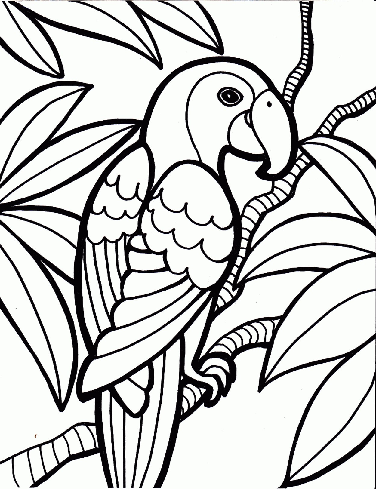 Printable Coloring Pages Of Birds Wallpaper
