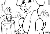 Puppy and Kitten Coloring Pages Puppy and Kitten Coloring Pages