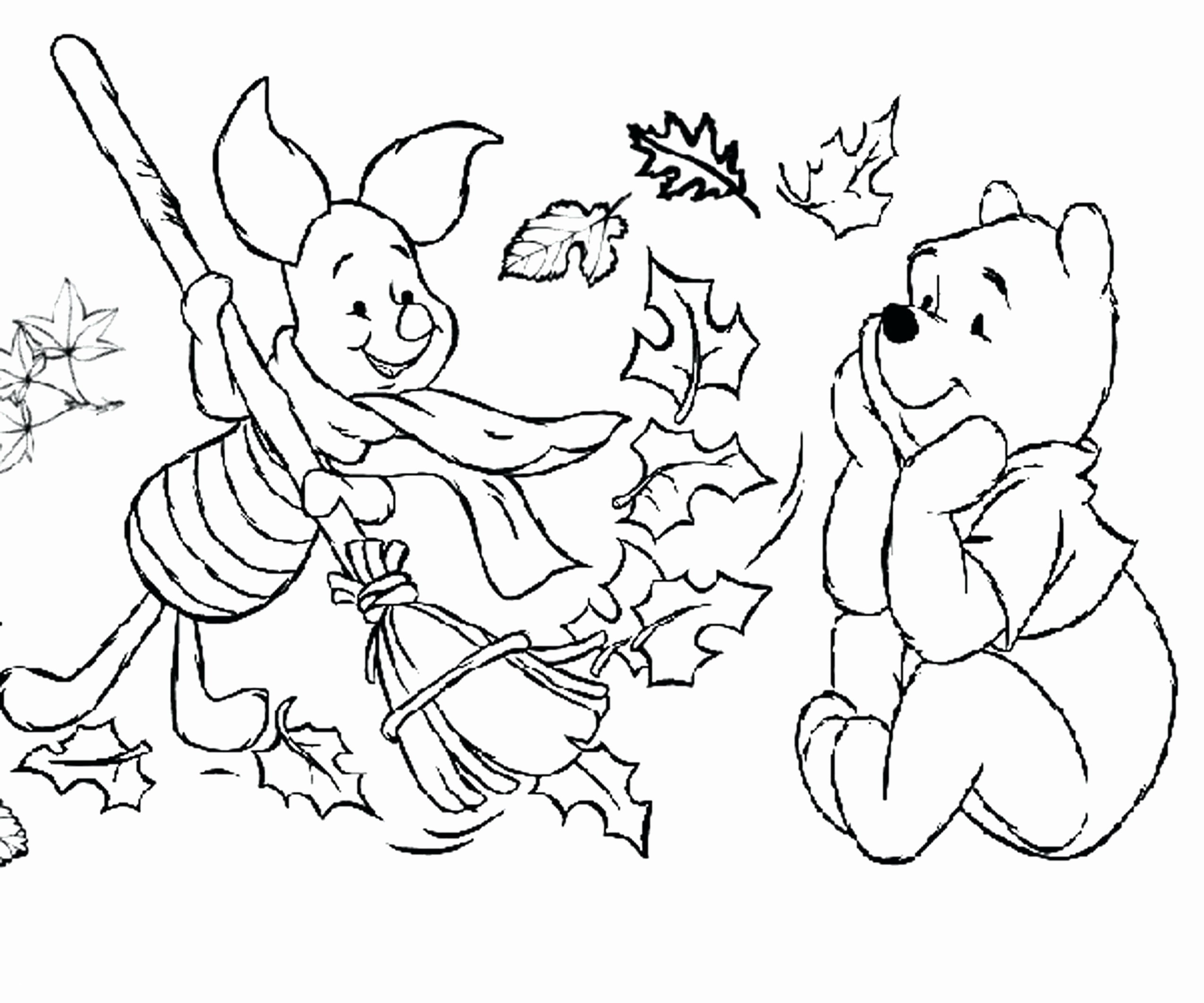 Real Animal Coloring Pages Wallpaper