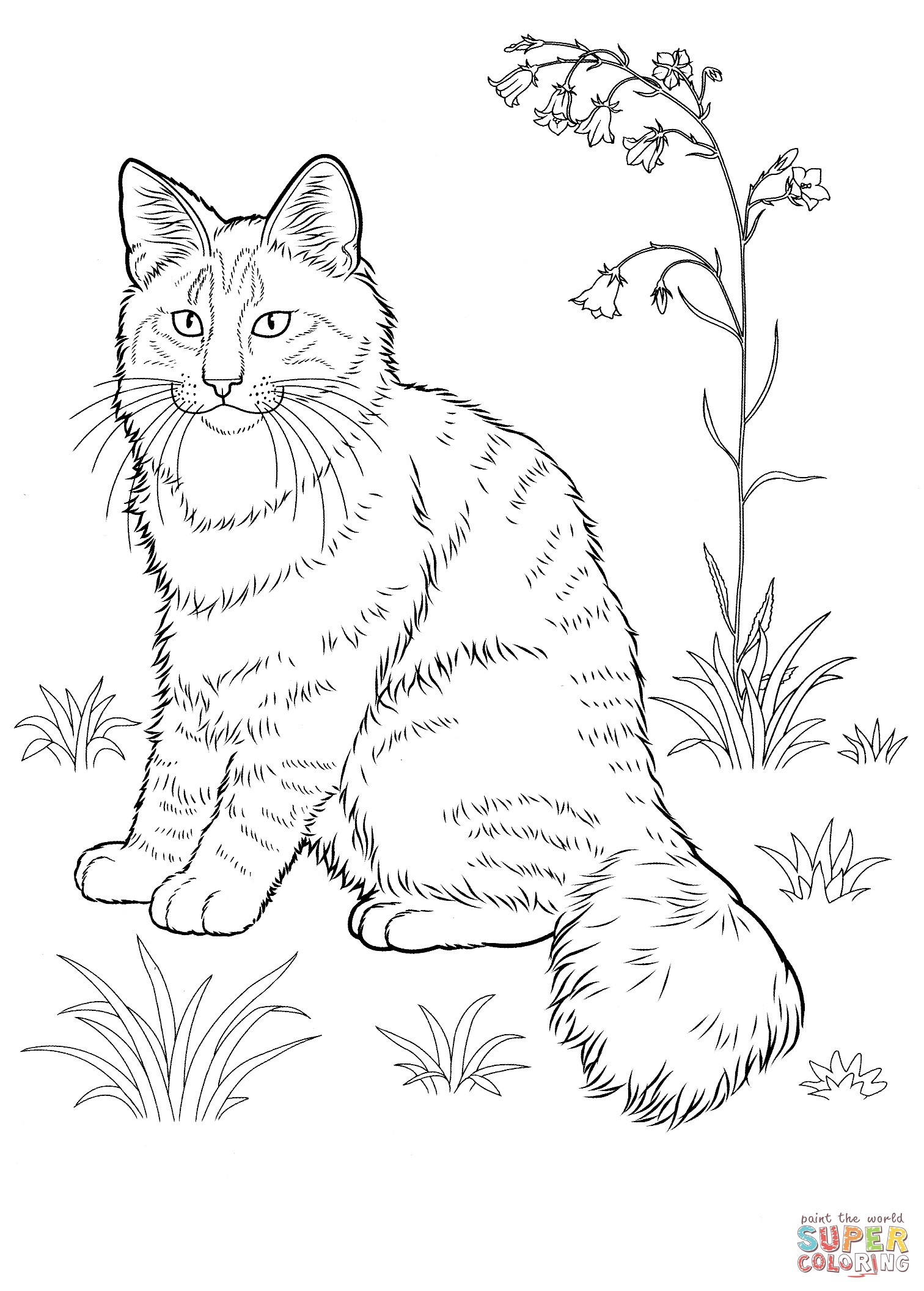 Realistic Cat Coloring Pages | BubaKids.com