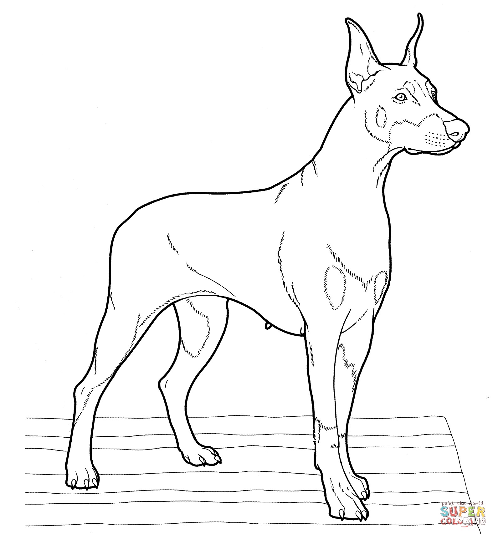 Realistic Dog Coloring Pages Wallpaper
