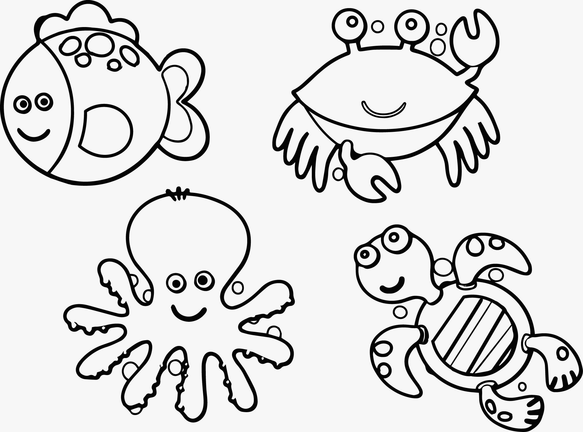 Sea Animals Coloring Pages Wallpaper