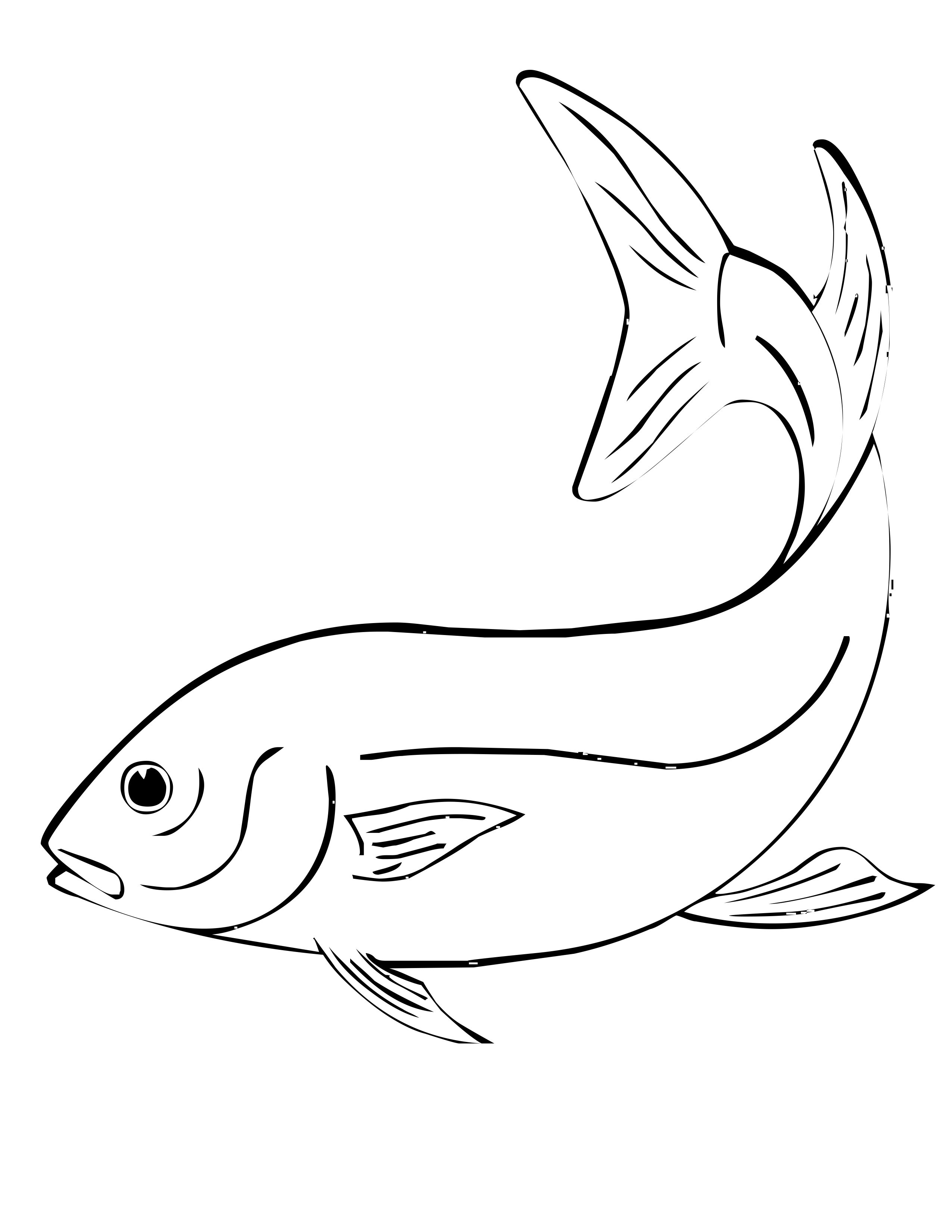 Siamese Fighting Fish Coloring Pages Wallpaper