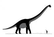 silhouettes of dinosaurs with names - Google Search