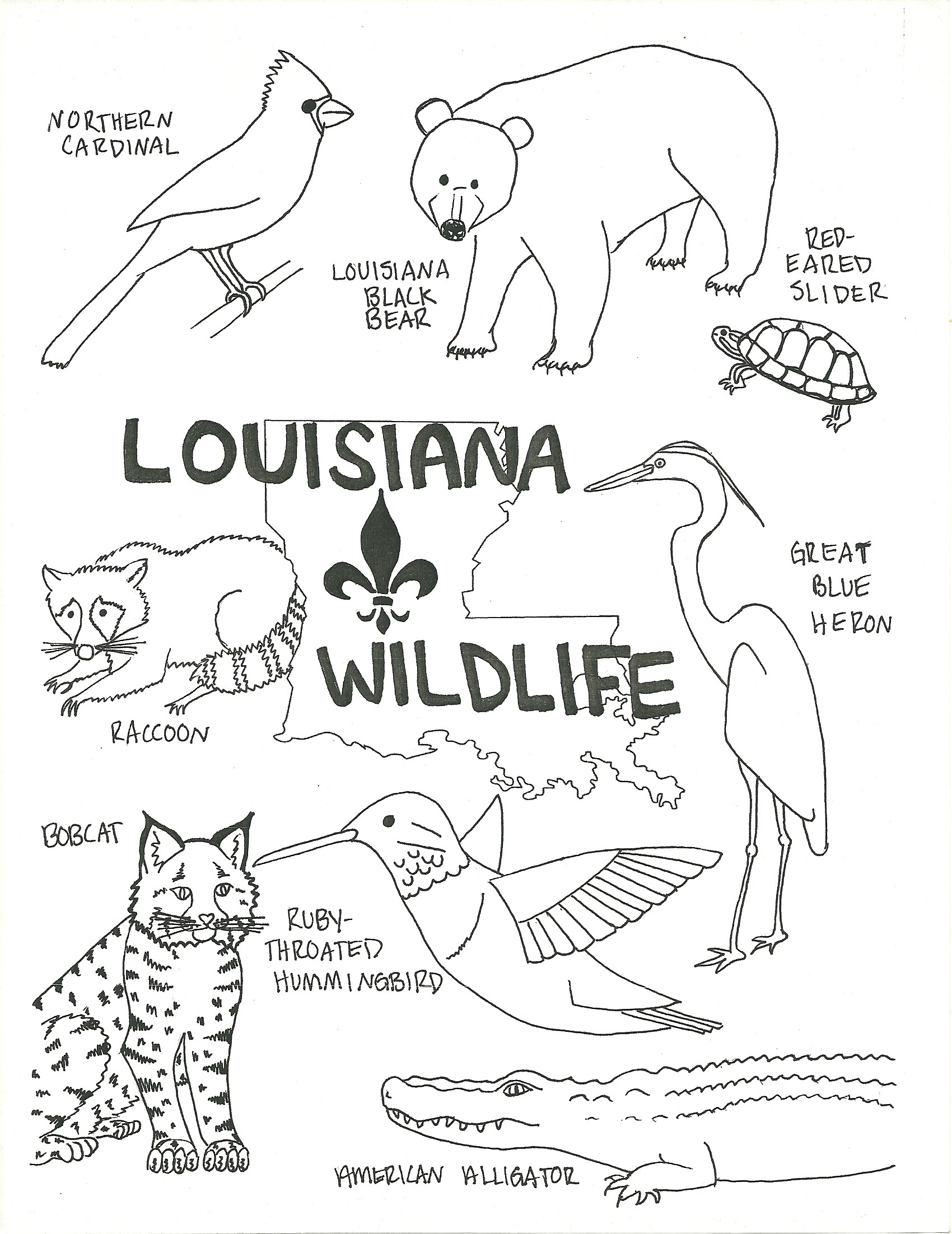 Swamp Animals Coloring Pages