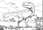 T Rex and Spinosaurus Coloring Pages T Rex and Spinosaurus Coloring Pages