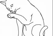 Warrior Cat Coloring Pages Warrior Cat Coloring Pages