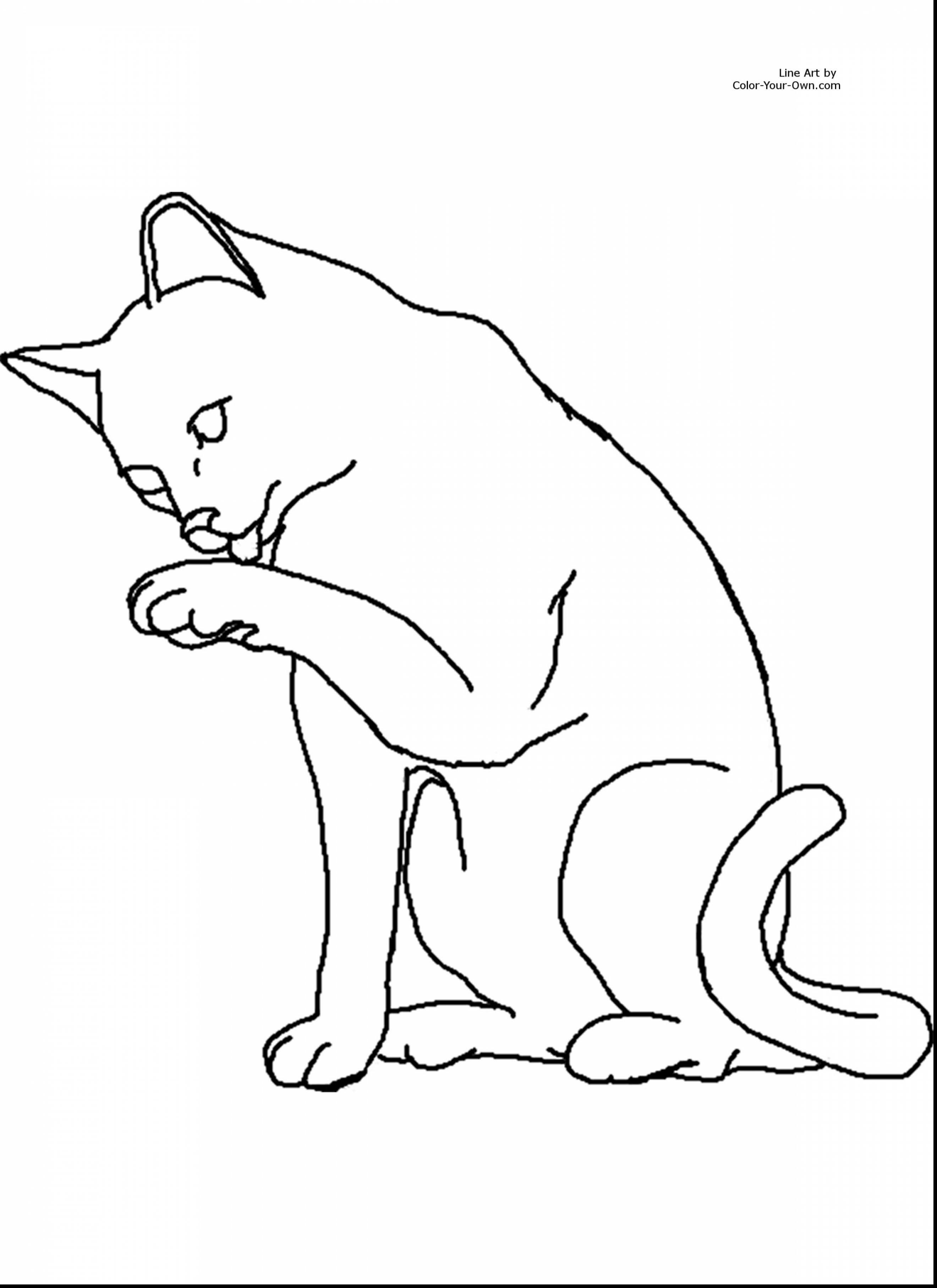 Warrior Cat Coloring Pages Wallpaper