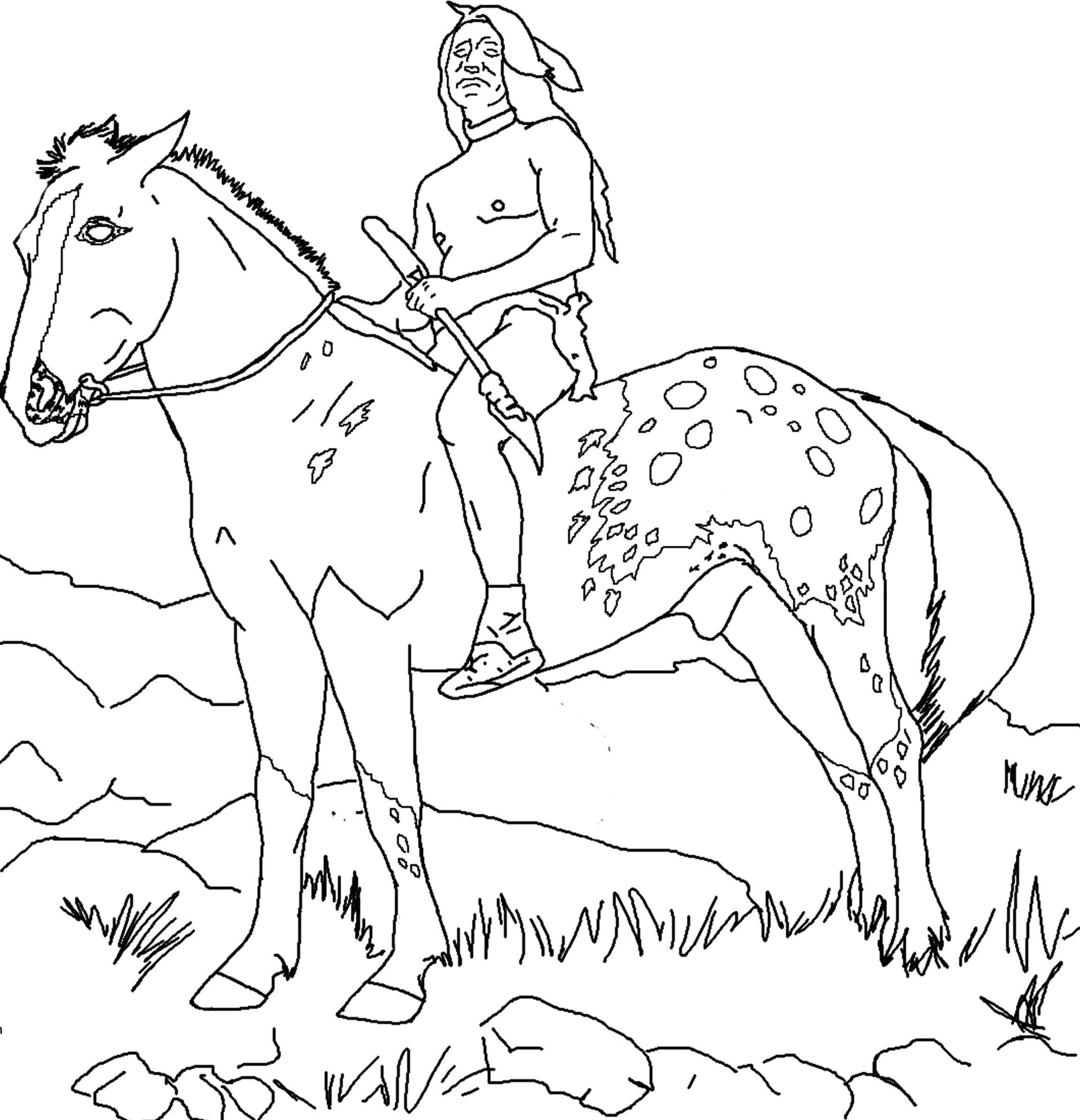 Western Horse Coloring Pages Wallpaper