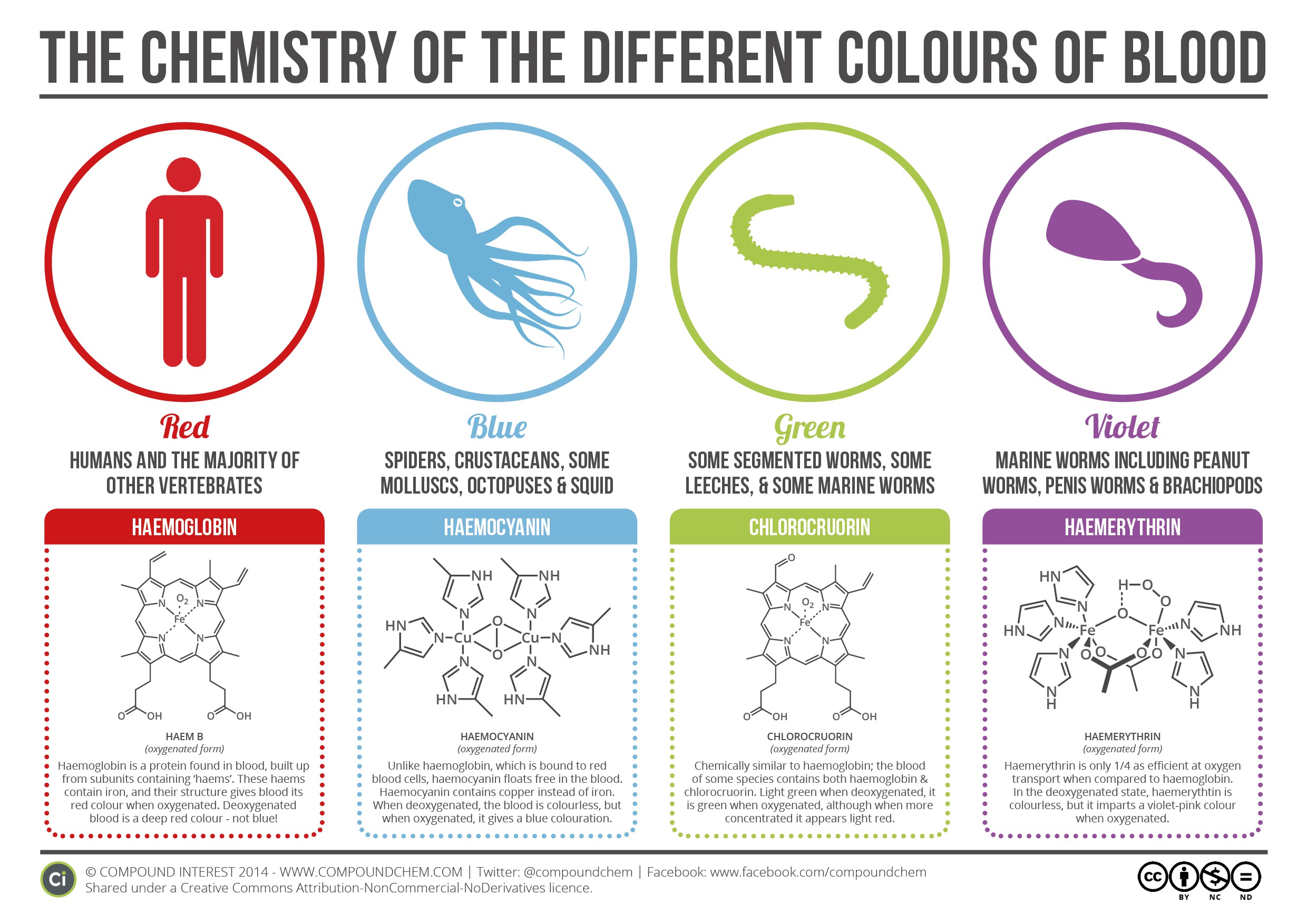 What Animals Have Different Colored Blood