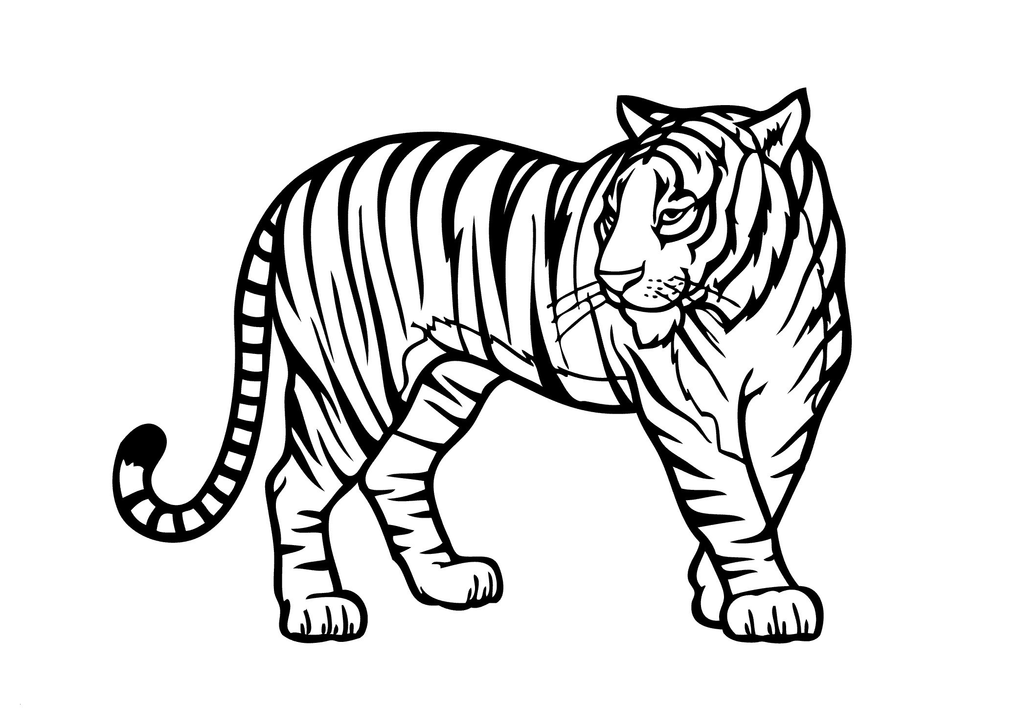 Wild Animal Coloring Page Fresh Tiger Color Fresh Tiger Wild Animals Coloring Pages for Kids