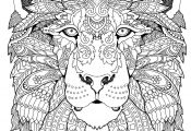 Wild Animals Coloring Pages Pdf Wild Animals Coloring Pages Pdf