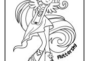 Fluttershy - My Little Pony Rainbow Rocks