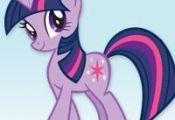 MY LITTLE PONY Twilight Sparkle Coloring Book and activity sheets  Activity, Boo...