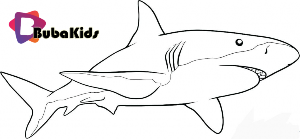 Great White Sharks are king of the Ocean. Sharks coloring pages