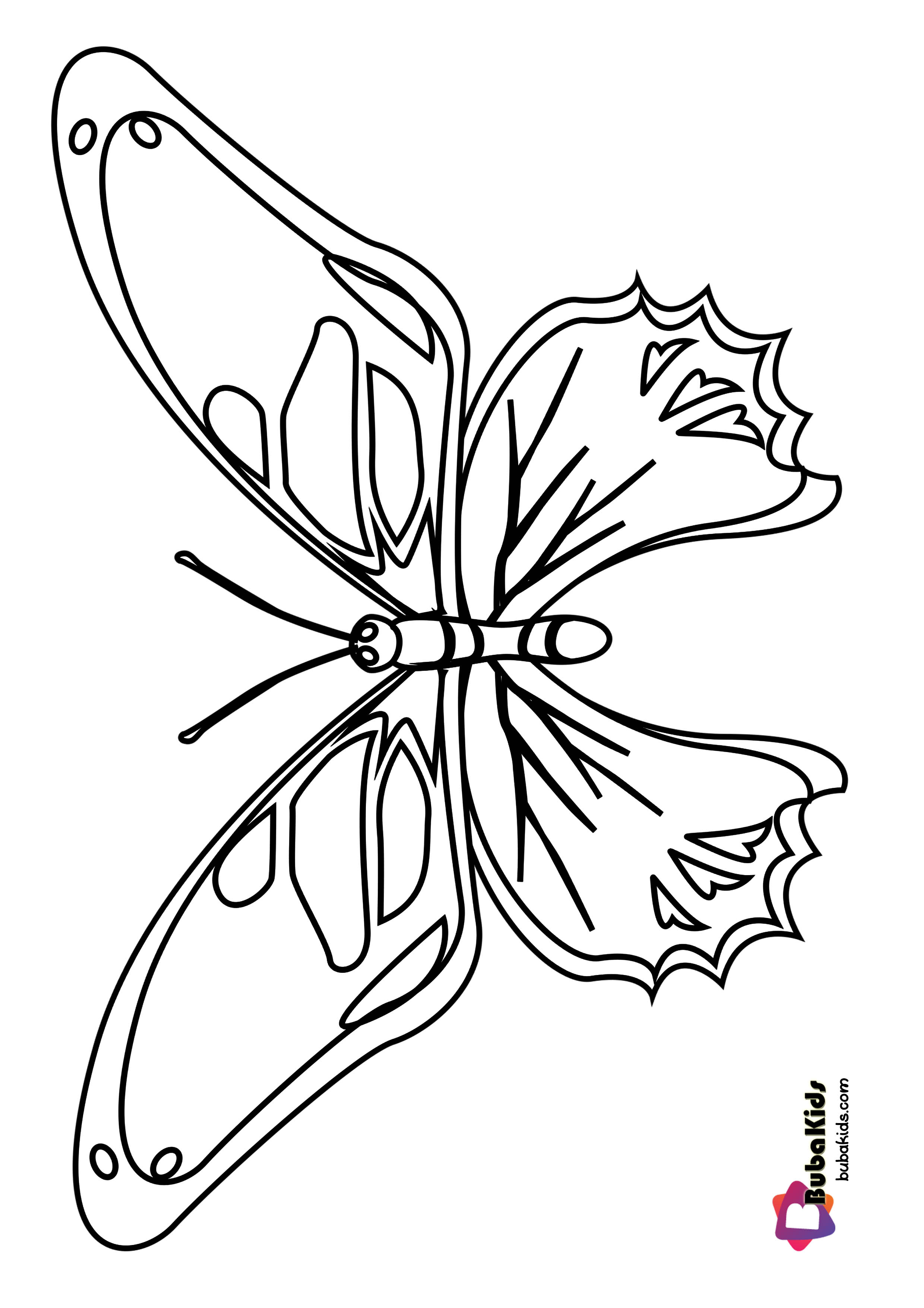 Bubakids Realistic Butterfly Coloring Page Wallpaper