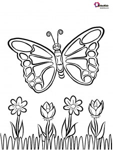 beautiful butterfly and flowers coloring page  bubakids
