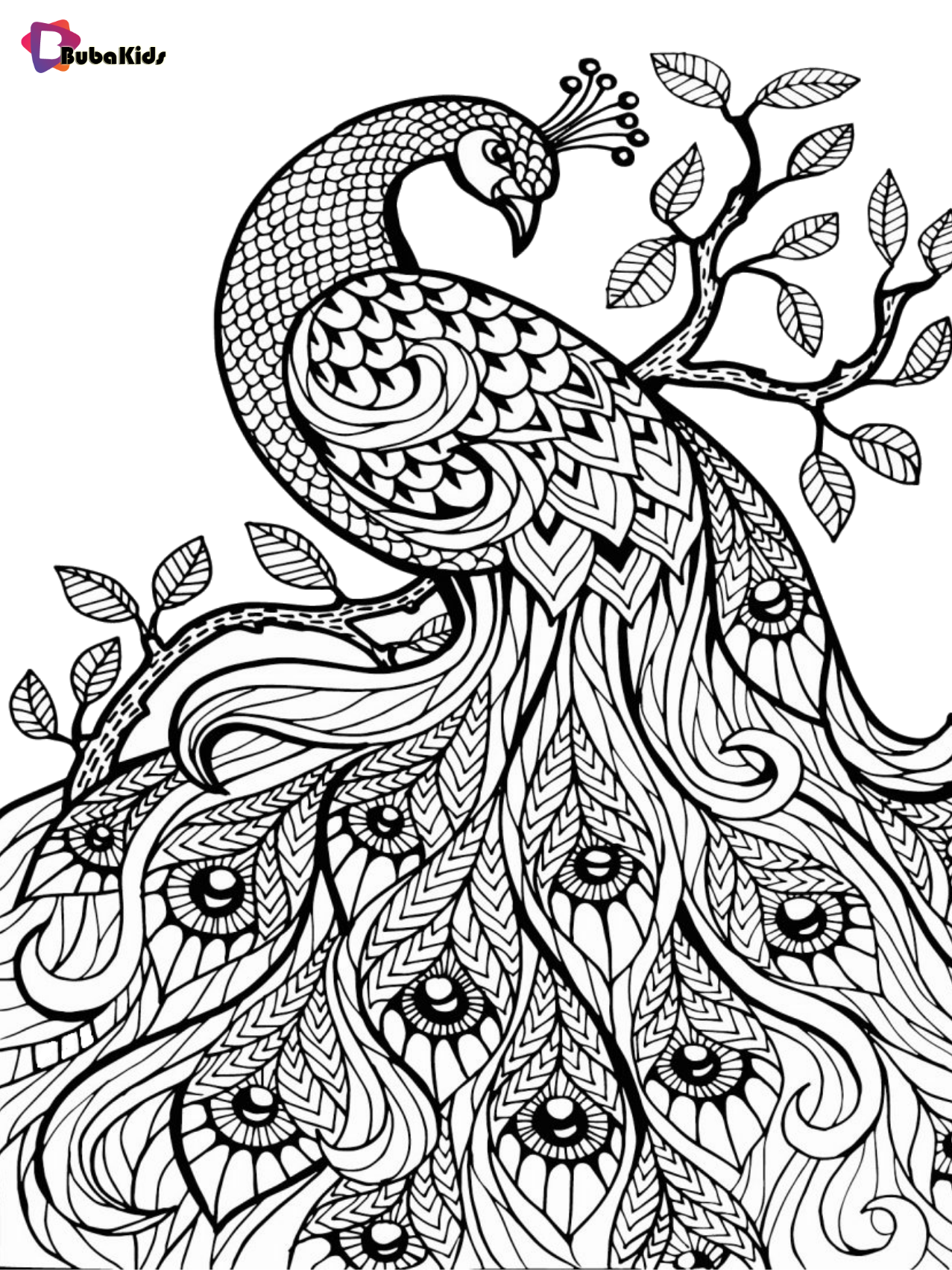 Animal bird species peacock coloring pages for adults and children Wallpaper