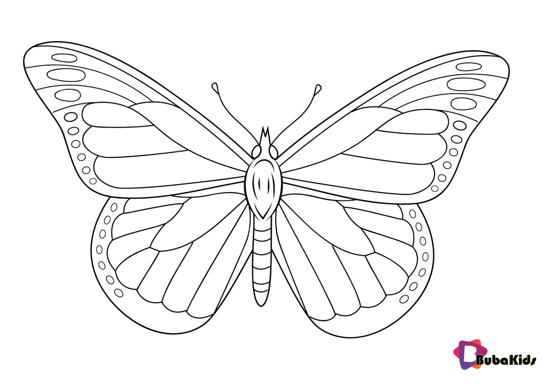 Butterfly coloring page for kids. Wallpaper
