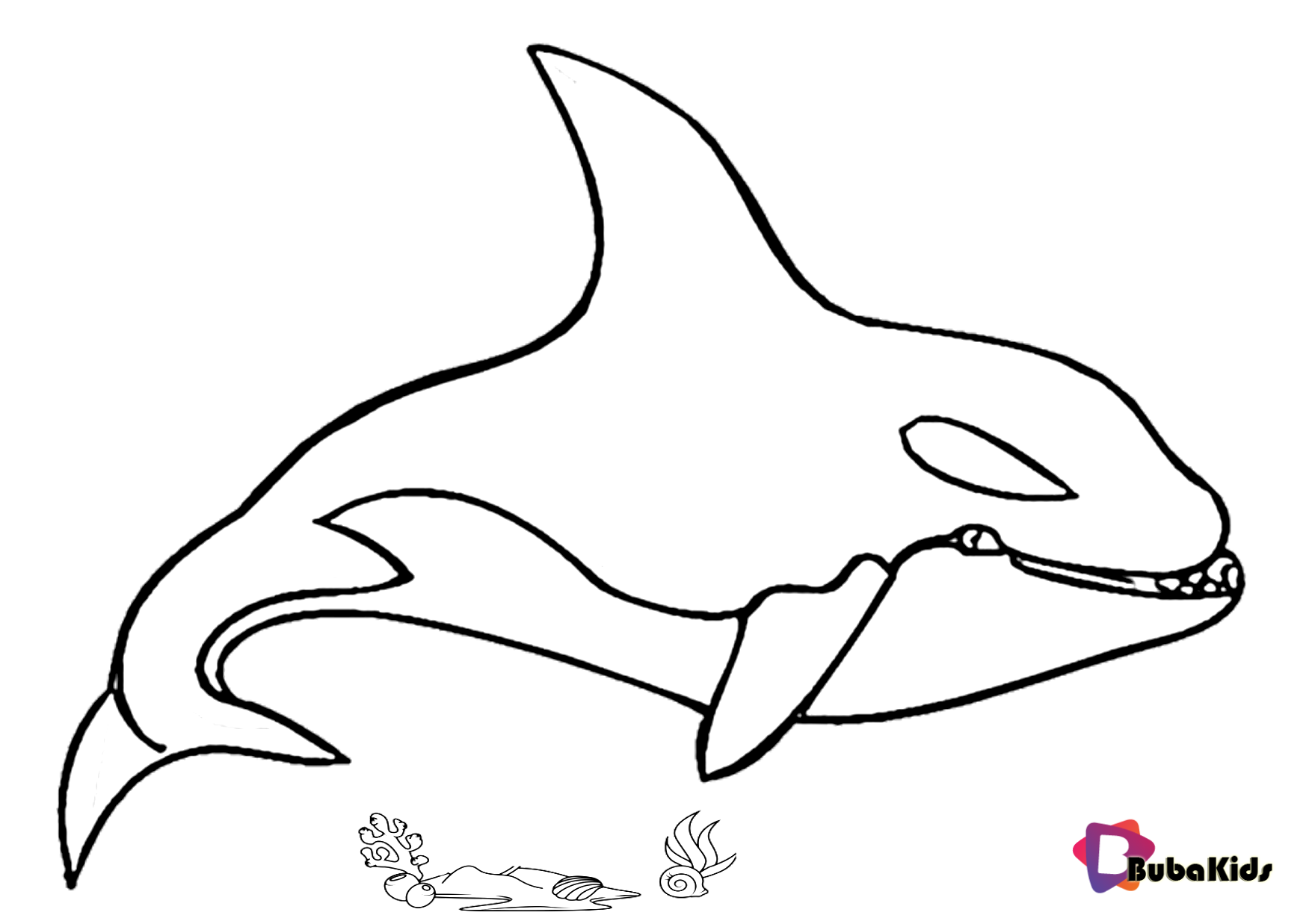 Killer whale coloring page Wallpaper