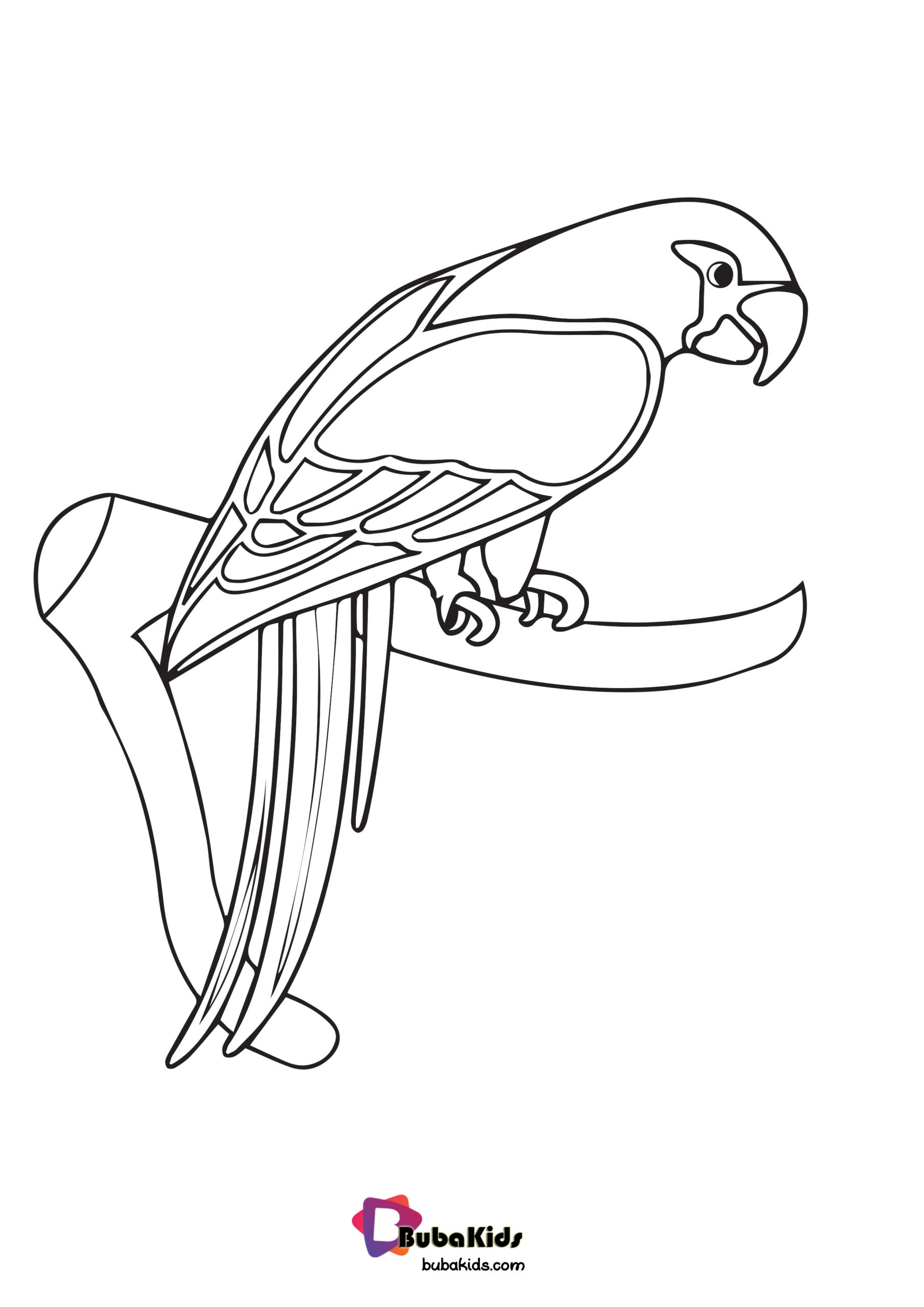Parrot Animal Coloring Page For Kids Wallpaper