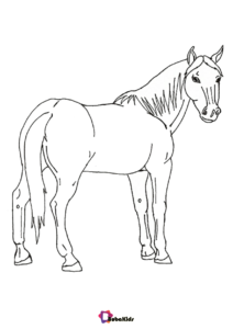 Horse Animal coloring page | BubaKids.com