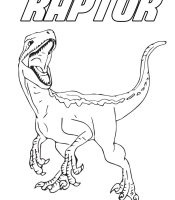 dinosaur raptor coloring