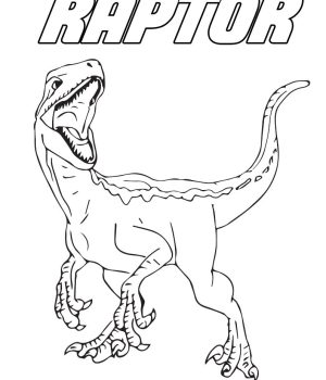 dinosaur raptor coloring