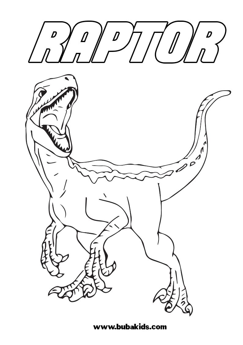 Dinosaurs Raptor Coloring Page For Kids Wallpaper